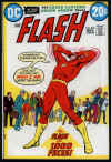 flash218.jpg (119416 bytes)